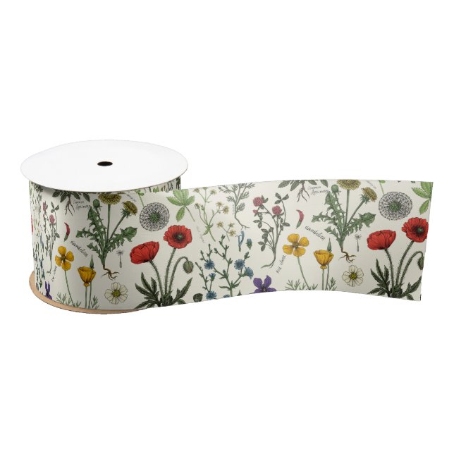 Lazo De Raso Wildflowers collage (Carrete)