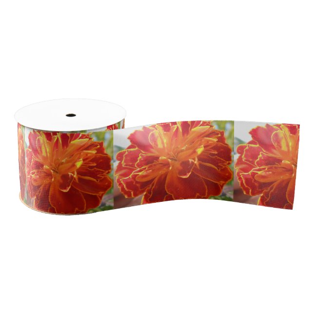 Lazo De Tela Gruesa Anastaise (Carrete)