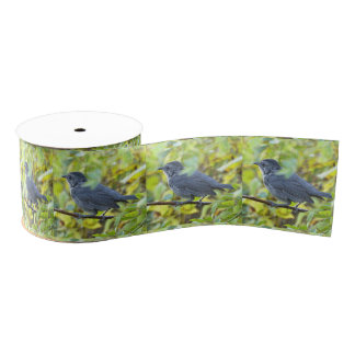 Lazo De Tela Gruesa Bird Photo Ribbon