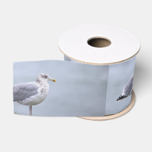 Lazo De Tela Gruesa Cinta de Foto de Gaviota