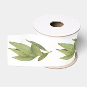 LAZO DE TELA GRUESA CINTA DE GROSGRAIN DE 3" DE HOJAS DE LAUREL FRESCO