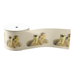 Lazo De Tela Gruesa Cinta fotográfica Goslings