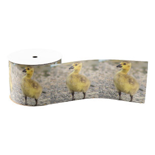 Lazo De Tela Gruesa Cinta fotográfica Goslings