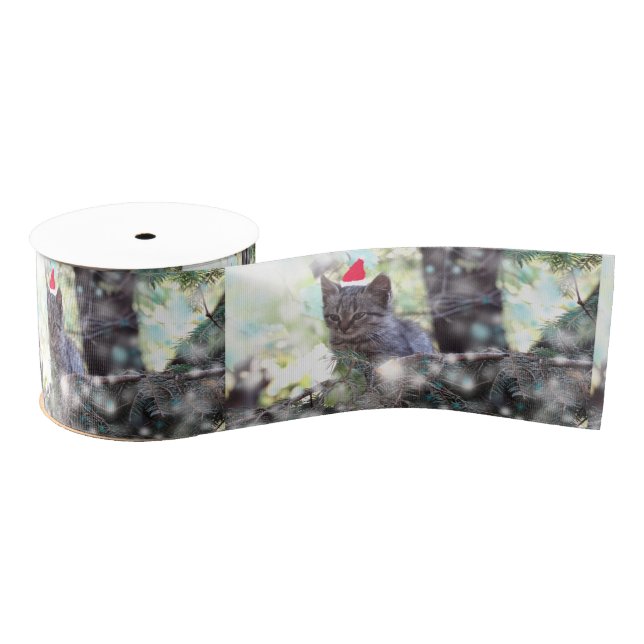 Lazo De Tela Gruesa Cura de gatos (Carrete)