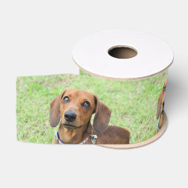 Lazo De Tela Gruesa Dachshund