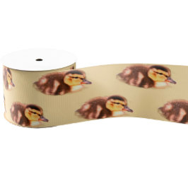 Lazo De Tela Gruesa Duckling Photo Ribbon