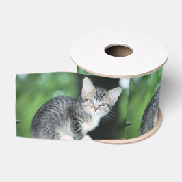 Lazo De Tela Gruesa Gatito