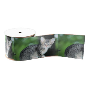 Lazo De Tela Gruesa Gatito