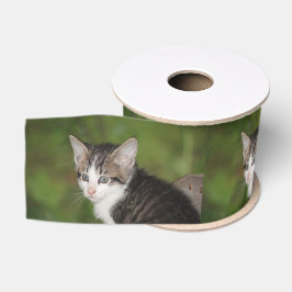 Lazo De Tela Gruesa Gatito