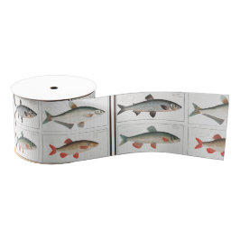 Lazo De Tela Gruesa Ilustraciones de pescado de época