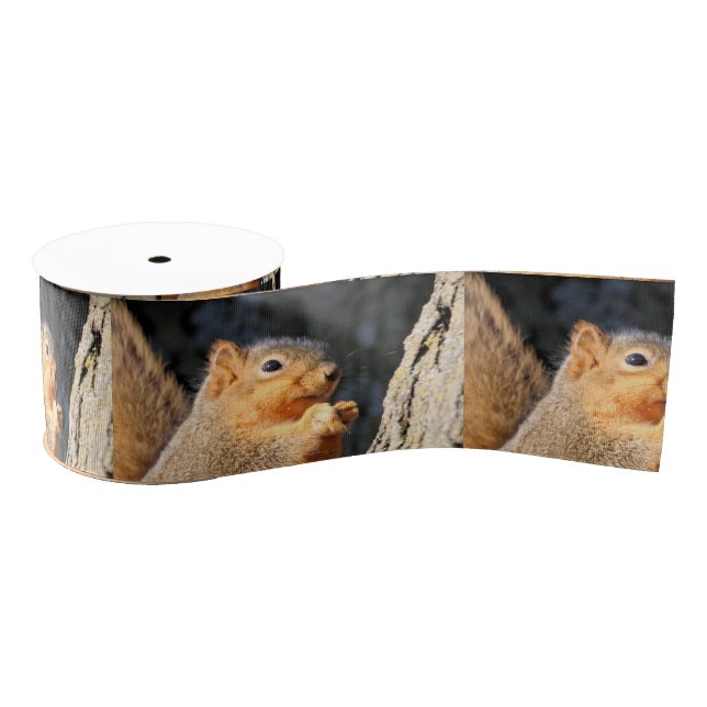 Lazo De Tela Gruesa Mareado (Carrete)