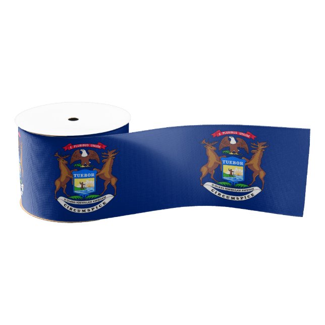 Lazo De Tela Gruesa Michigan (Carrete)