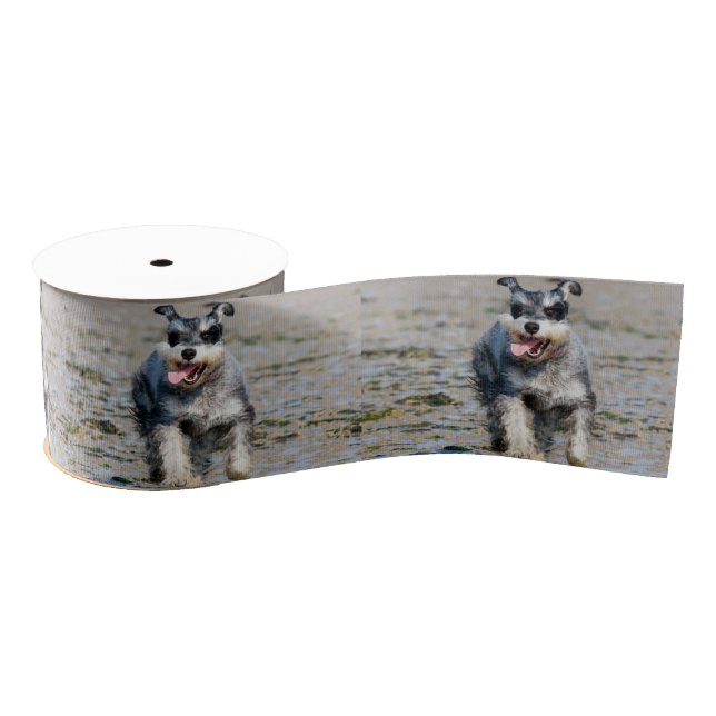 Lazo De Tela Gruesa mini schnauzer-run (Carrete)