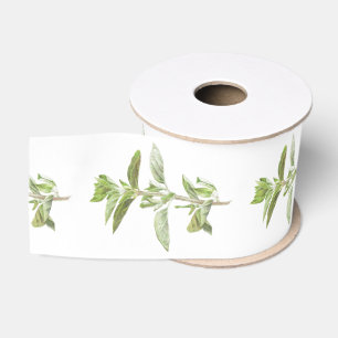 Lazo De Tela Gruesa ORÉGANO FRESCO Cinta de Grosgrain de 3" de ancho