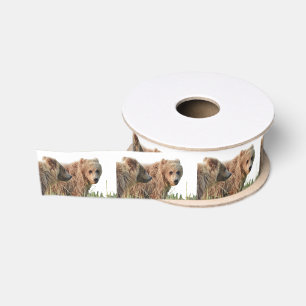 Lazo De Tela Gruesa osos pardos