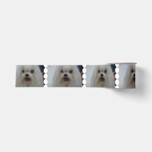 Lazo De Tela Gruesa Perro maltés blanco
