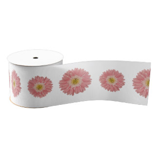 Lazo De Tela Gruesa Pink Daisy