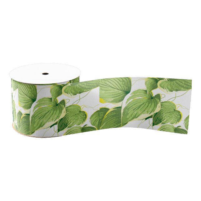 Lazo De Tela Gruesa Planta Ficus (Carrete)