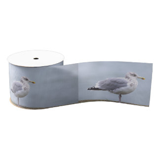Lazo De Tela Gruesa Seagull Photo Ribbon