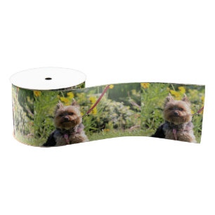 Lazo De Tela Gruesa Solo cariño.