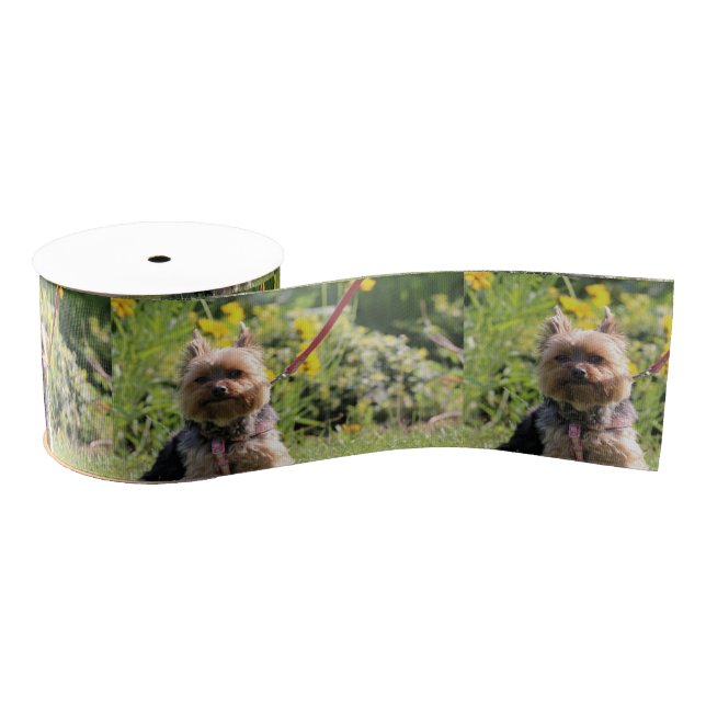 Lazo De Tela Gruesa Solo cariño. (Carrete)