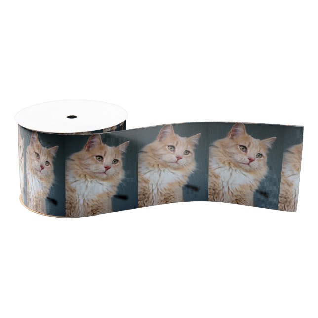 Lazo De Tela Gruesa Sr. Handsome (Carrete)