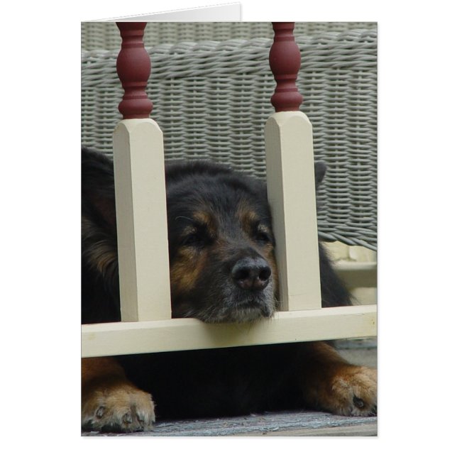 Lazy Afternoon Snooze (Frente)