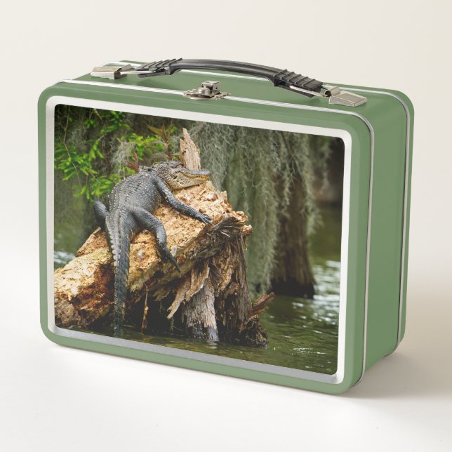 Lazy Gator Cypress Swamp Lunch Box by DeGruy (Anverso)