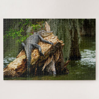 Lazy Gator Jigsaw rompecabezas