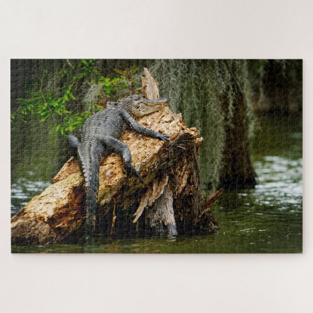 Lazy Gator Jigsaw rompecabezas (Horizontal)
