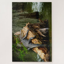 Lazy Gator Jigsaw rompecabezas