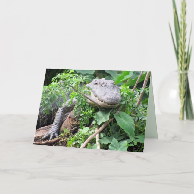Lazy Gator - Tarjeta de saludo de lagarto (Anverso)