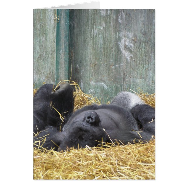 Lazy Gorilla Card (Frente)