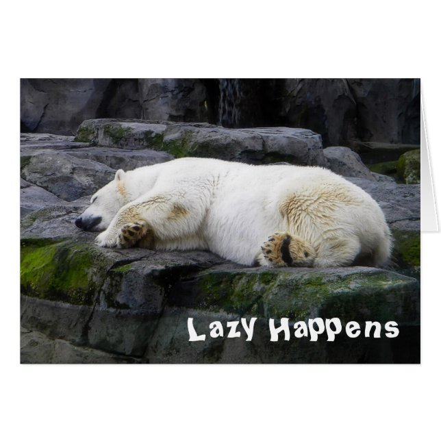 Lazy Happens Polar Bear (Anverso (Horizontal))