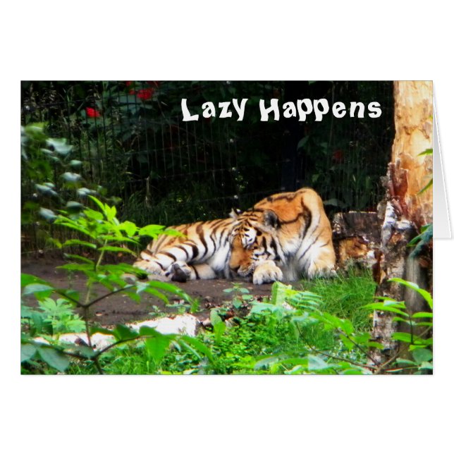 Lazy pasa tigre siberiano (Anverso (Horizontal))