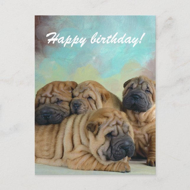 Lazy shar pei Feliz cumpleaños! tarjeta (Anverso)