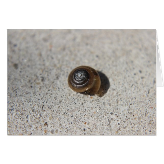 Lazy Snail (Anverso (Horizontal))