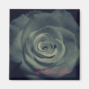 Le amo imán de Rose