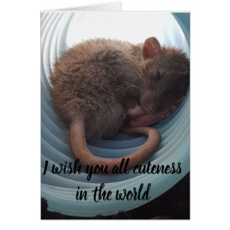 Le deseo todo el cuteness en el mundo