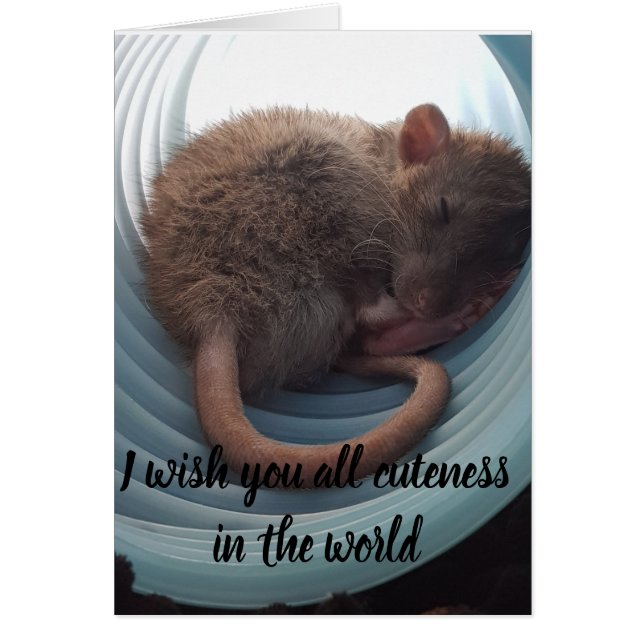 Le deseo todo el cuteness en el mundo (Frente)