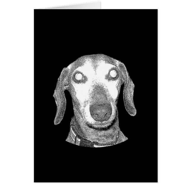 ¡Le estoy mirando! (Frente)