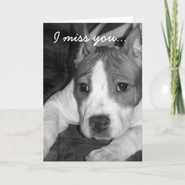 Le falto tarjeta de felicitación del pitbull (Anverso)