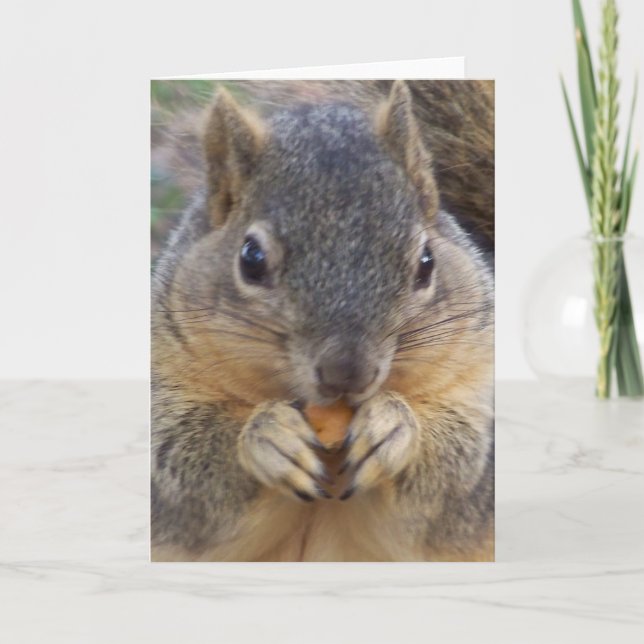 Le invitan cualquier tarjeta de Occasion_ (Anverso)