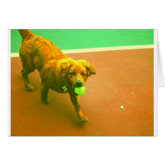 ¡"Le jugaré en cualquier momento! "