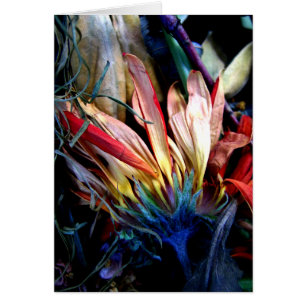 le pass des fleurs