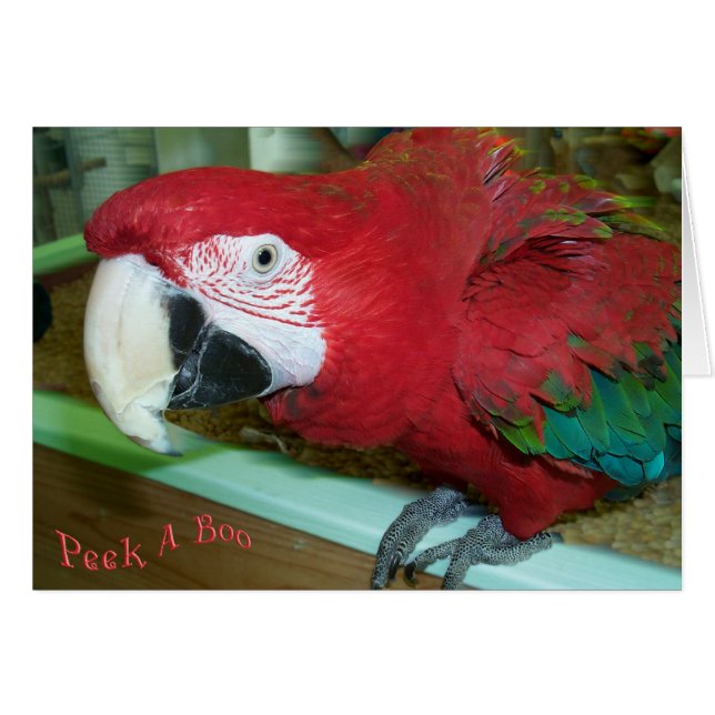 Le veo (Anverso (Horizontal))