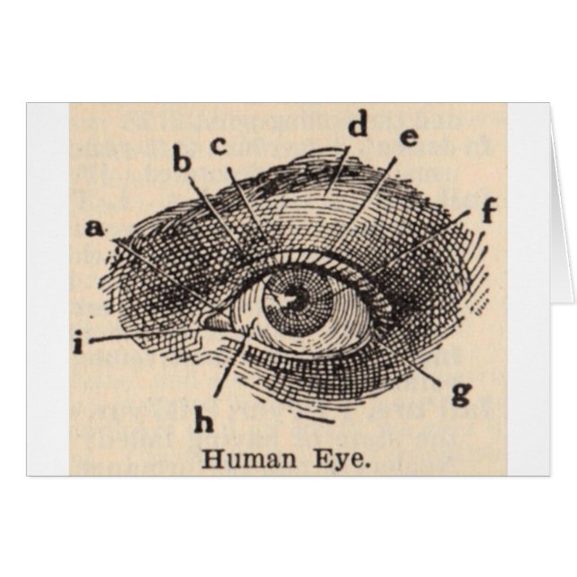 Le veo (Anverso (Horizontal))