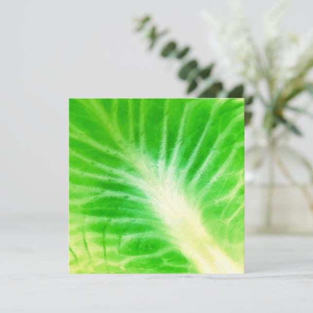 Leaf de col (Anverso de pie)
