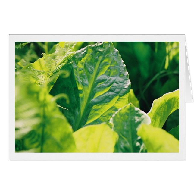 Leaf verde (Anverso (Horizontal))