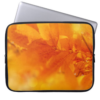 Leafas de resplandor de otoño coloreadas con bolsa